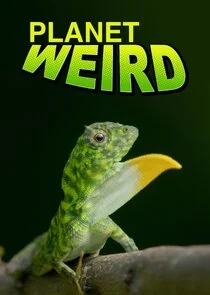 Affiche de Planet Weird