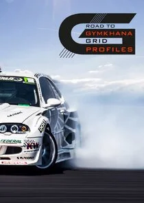 Póster de Road to Gymkhana Grid Profiles