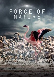 Force of Nature