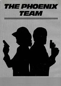 Póster de The Phoenix Team