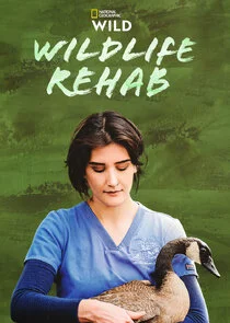 Wildlife Rehab poster