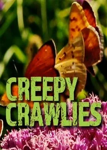 Póster de Creepy Crawlies