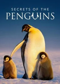 Secrets of the Penguins