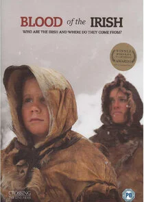 Póster de Blood of the Irish