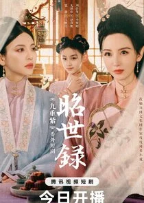 Plakat Zhao Shi Lu