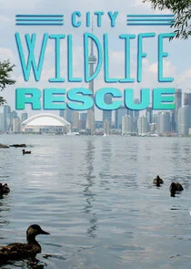 Póster de City Wildlife Rescue