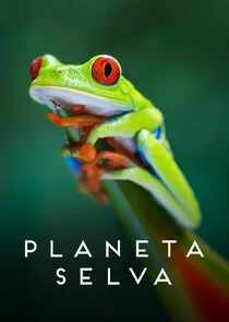 Affiche de Planeta Selva