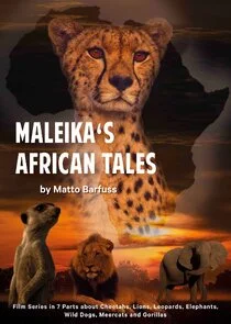 Affiche de Maleika's African Tales