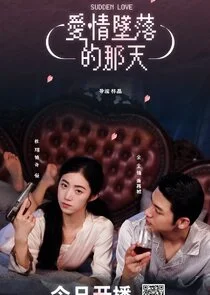 Affiche de Sudden Love