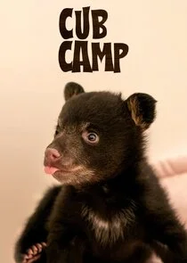 Pôster de Cub Camp