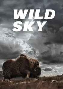 Affiche de Wild Sky