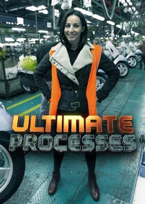 Affiche de Ultimate Processes