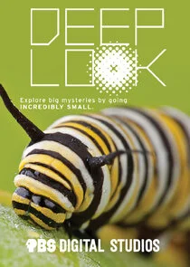 Affiche de Deep Look