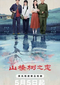 Affiche de When The Hawthorn Blooms