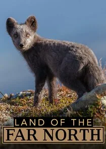 Affiche de Polartag/Polarnacht