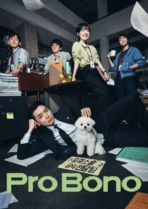 Pro Bono poster