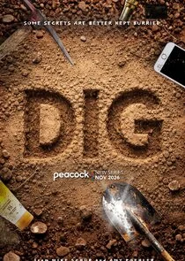 Affiche de Dig