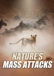 Affiche de Nature's Mass Attacks