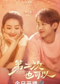 Plakat The Second Time is Also Fine