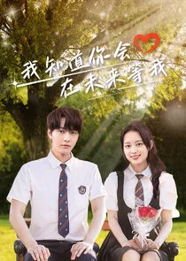 Love Through Time Poster