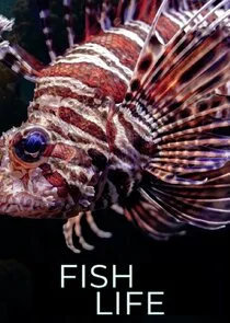 Affiche de Comme un poisson dans l'eau