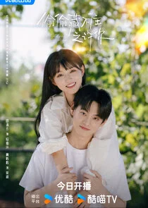 Affiche de Hidden Love For You