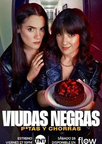 Poster di Viudas Negras: P*tas y Chorras