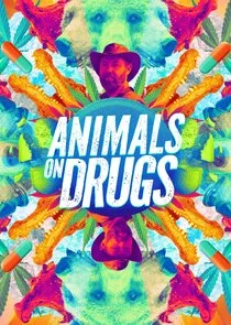 Affiche de Animals on Drugs