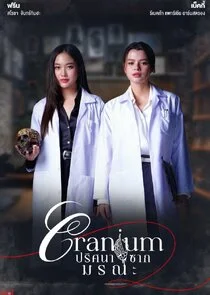 Cranium poster