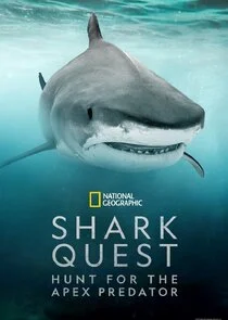 Affiche de Shark Quest: Hunt For The Apex Predator