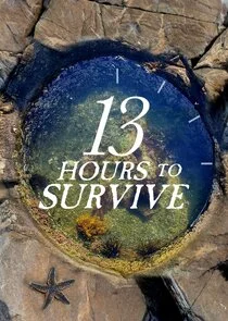 Affiche de 13 Hours to Survive