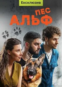Poster di ÄĹşÄÂµĹÂ ÄÂÄÂ»ĹĹšĹâ€ž