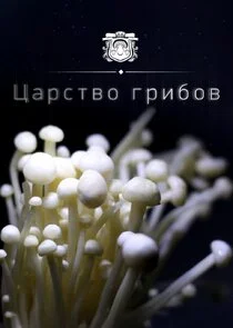 Affiche de ÄÂ¦ÄÂ°Ĺâ‚¬ĹÂĹâ€šÄË›ÄÄľ ÄĹ‚Ĺâ‚¬ÄÂ¸ÄÂ±ÄÄľÄË›