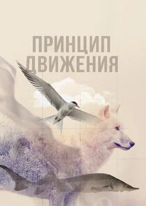 Affiche de ÄĹşĹâ‚¬ÄÂ¸ÄËťĹâ€ ÄÂ¸ÄĹĽ ÄÂ´ÄË›ÄÂ¸ÄÂ¶ÄÂµÄËťÄÂ¸ĹĹą