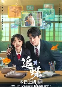 Poster di Chasing Butterfly