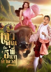Affiche de My Sassy Wedding