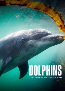 Poster di Dolphins: Wonders of the Ocean