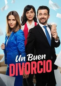 Poster di Un buen divorcio