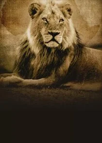 Poster di Into the Pride Lands