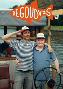Poster di De Goudvis