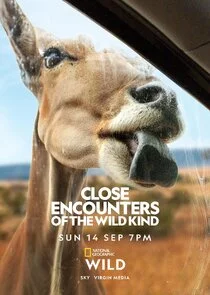 Affiche de Close Encounters of the Wild Kind