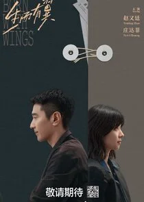 Poster di Born With Wings