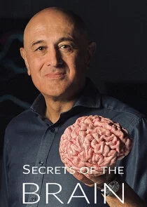 Affiche de Secrets of the Brain