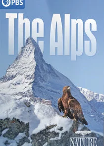 Affiche de Die Alpen