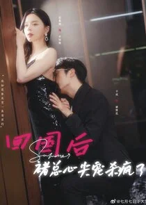 Poster di Stunner
