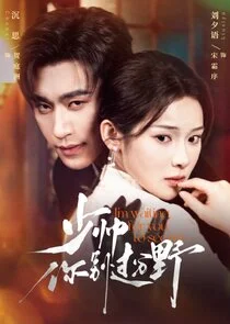 Affiche de The Fiery Young Marshal
