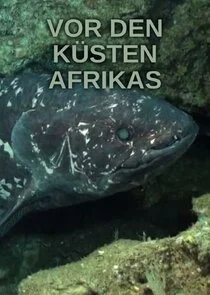 Affiche de Oceans Africa