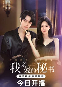 Affiche de Dear Secretary