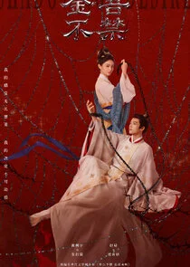 Affiche de Shadows of Desire