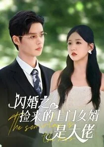Affiche de Accidental Noble Husband